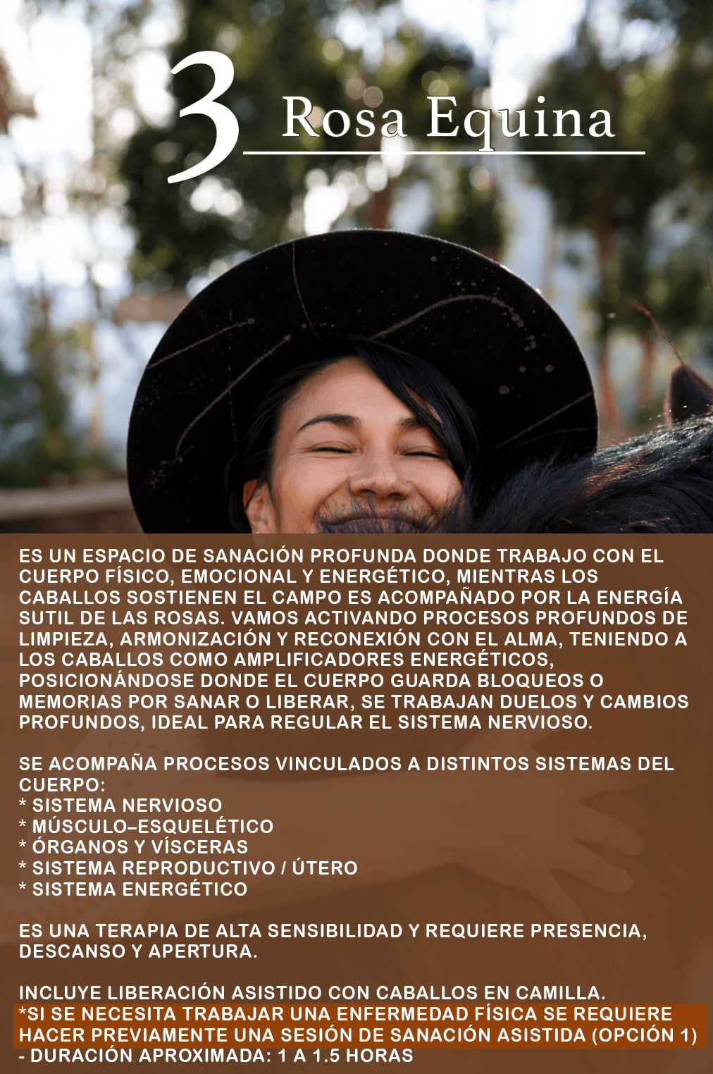 Sanación en camilla Rosa equina, con caballos y rosas