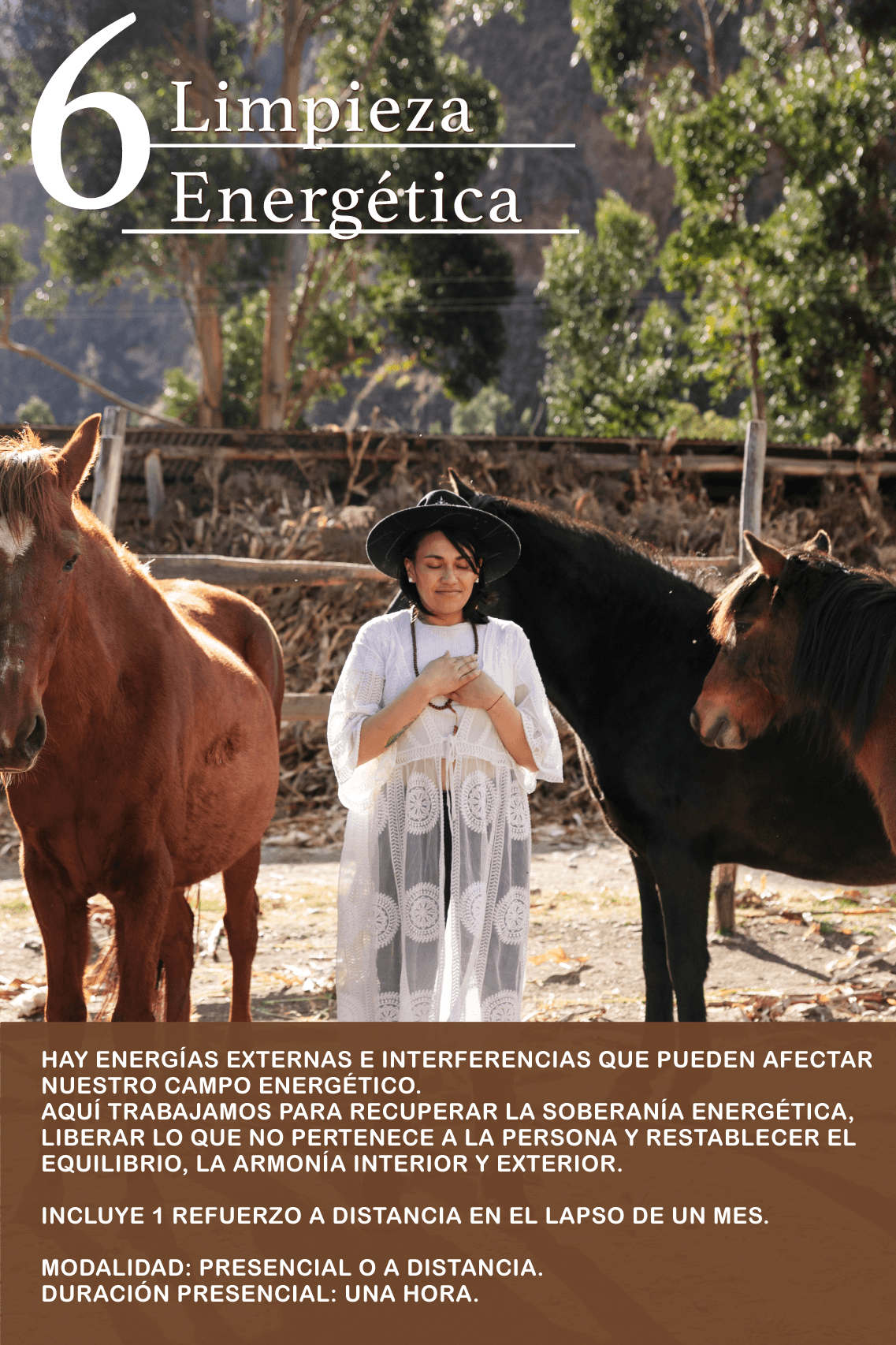 Limpieza energética asistido con. Caballos