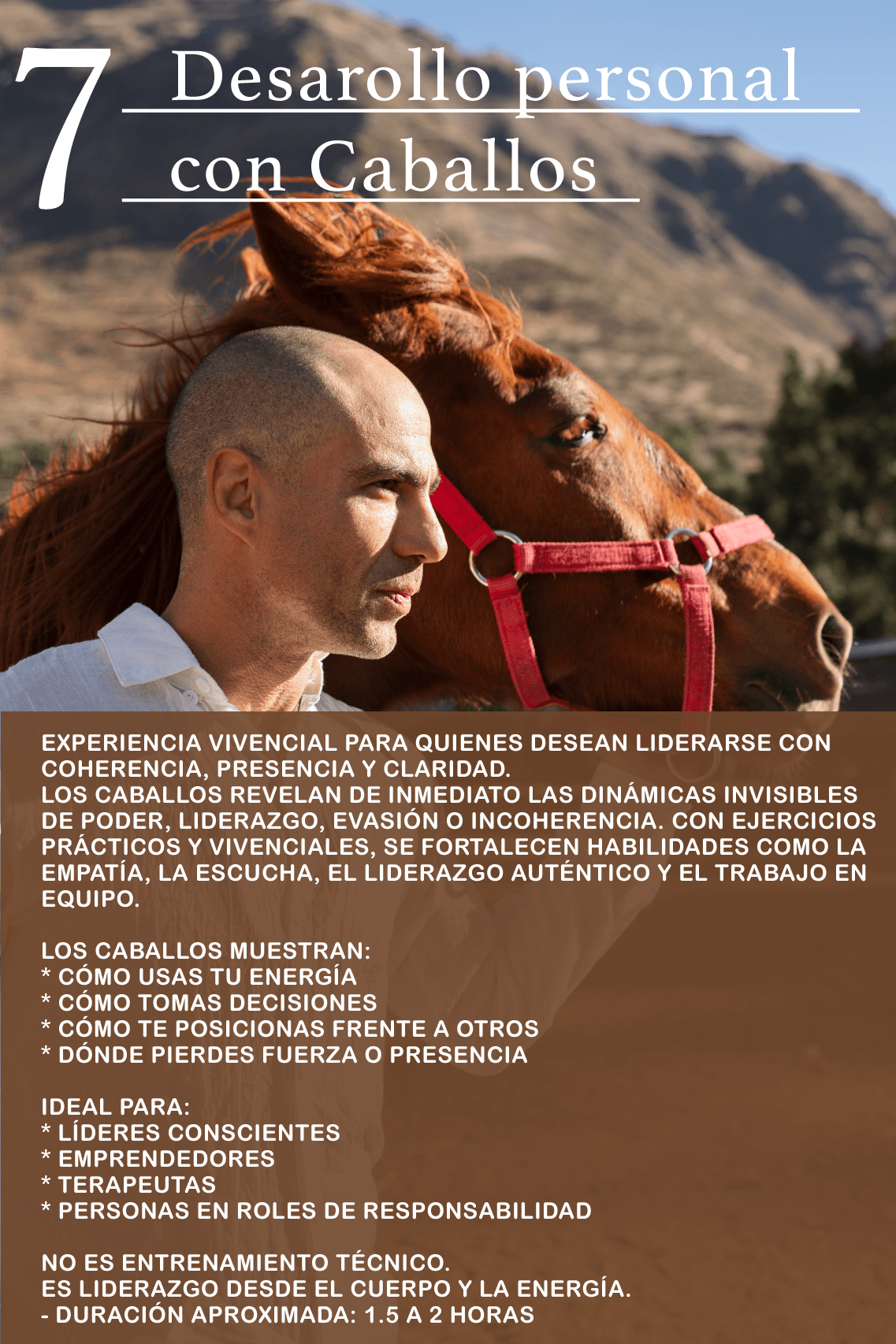 Desarrollo personal y liderazgo asistido con Caballos