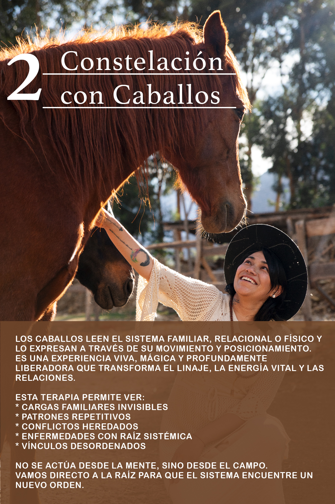 Constelaciones con caballos, Pisac