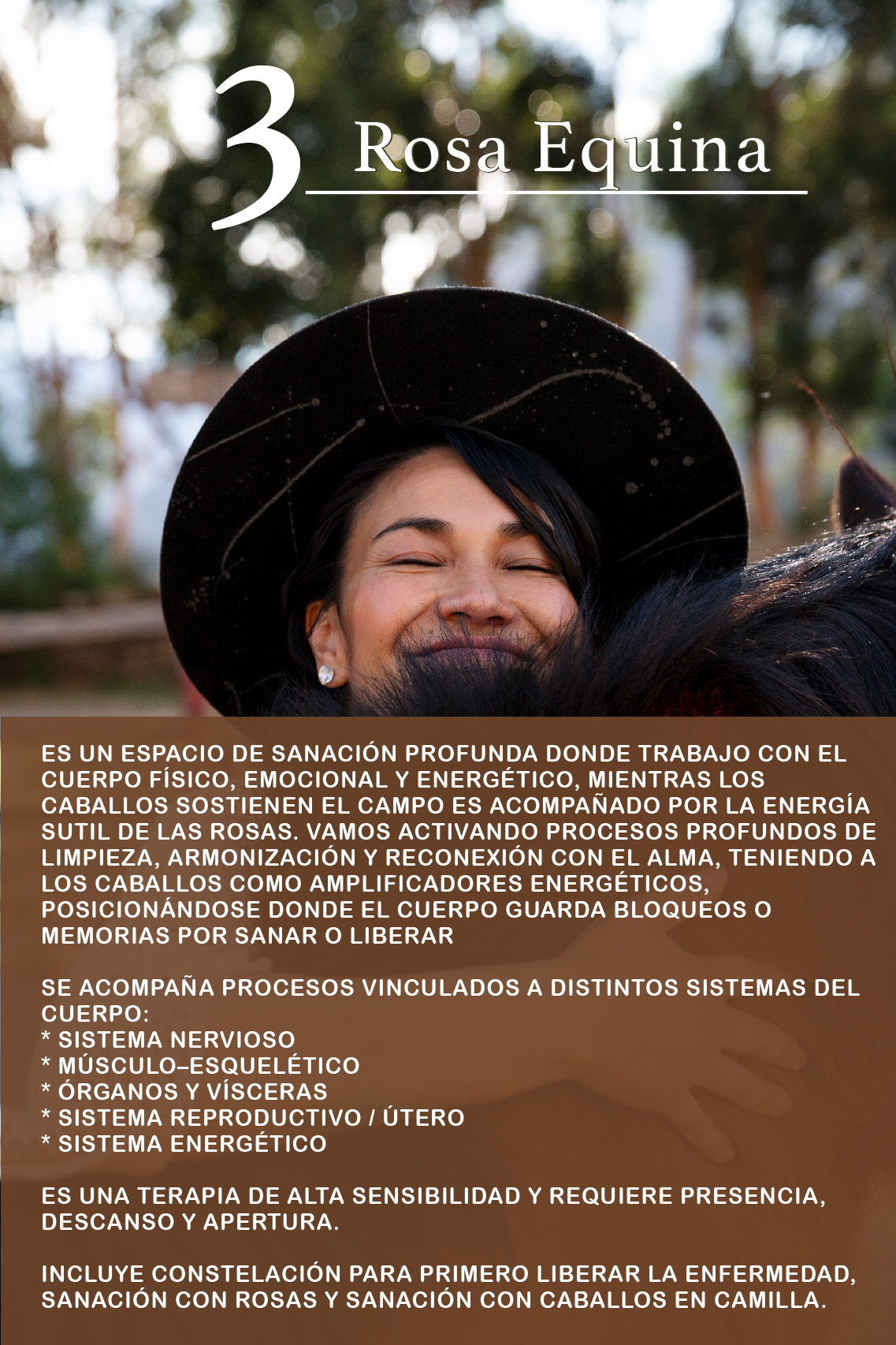 Sanación en camilla Rosa equina, con caballos y rosas, Pisac 