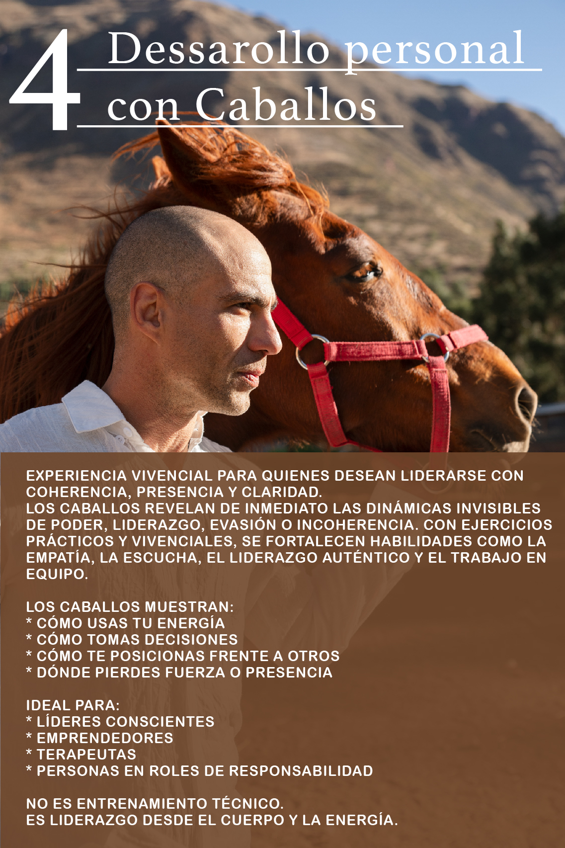 Liderazgo asistido con Caballos 