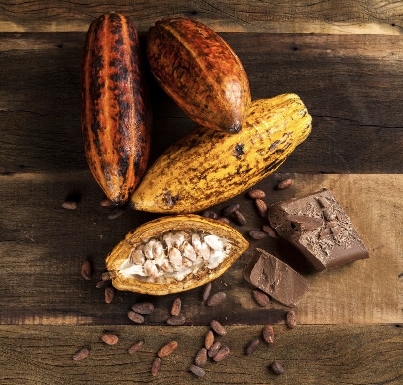 Cacao ceremonial barra 1kg