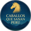 CABALLOSQUESANAN.PE